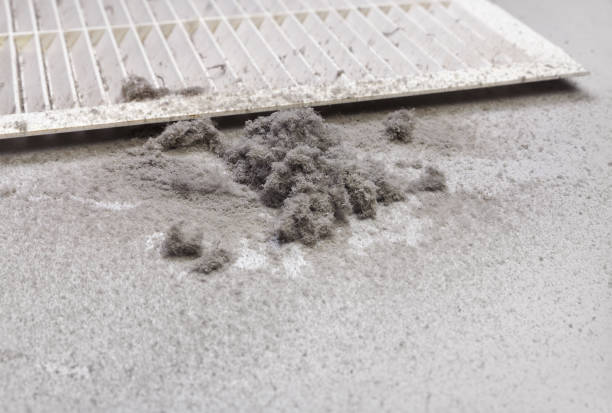 Best Home Air Vent Cleaning  in Lake Shore, WA