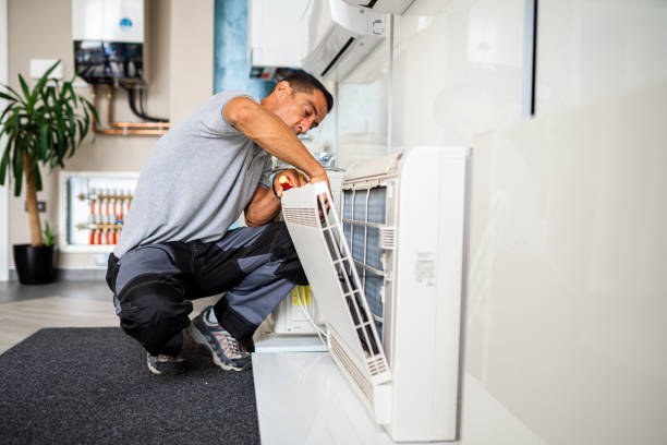 Best Air Duct Sanitizing Services  in Lake Shore, WA
