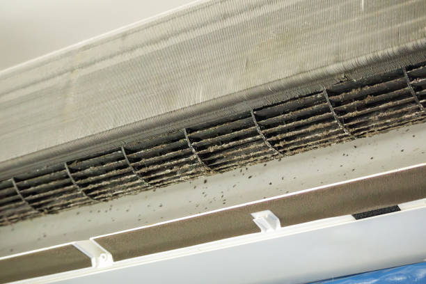 Best Professional Duct Cleaning Services  in Lake Shore, WA